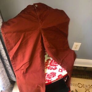 Loft 10P/30 brown modern skinny jeans